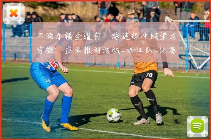 不满李镇全遭罚！球迷怒冲铜梁龙官微：应举报刘浩帆_浙江队_比赛_球员