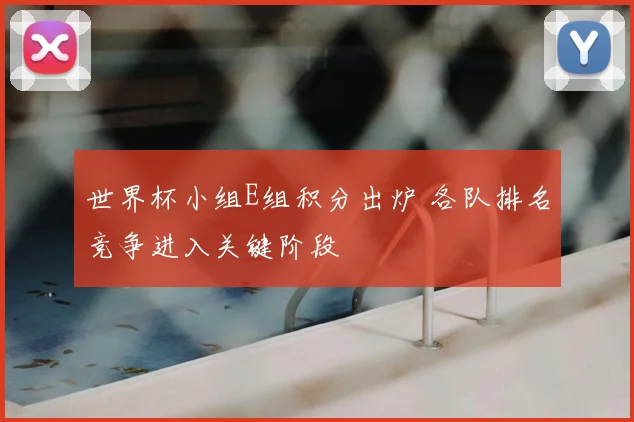 世界杯小组E组积分出炉 各队排名竞争进入关键阶段