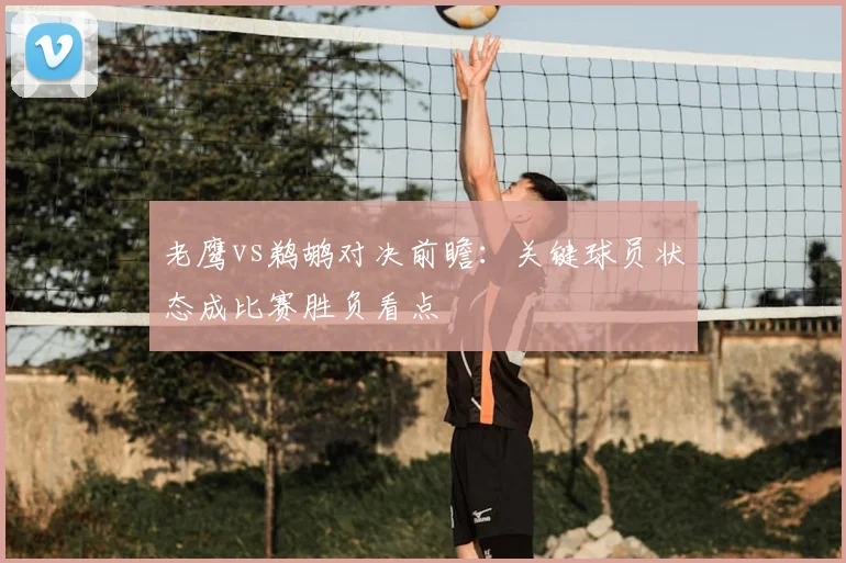 老鹰vs鹈鹕对决前瞻：关键球员状态成比赛胜负看点