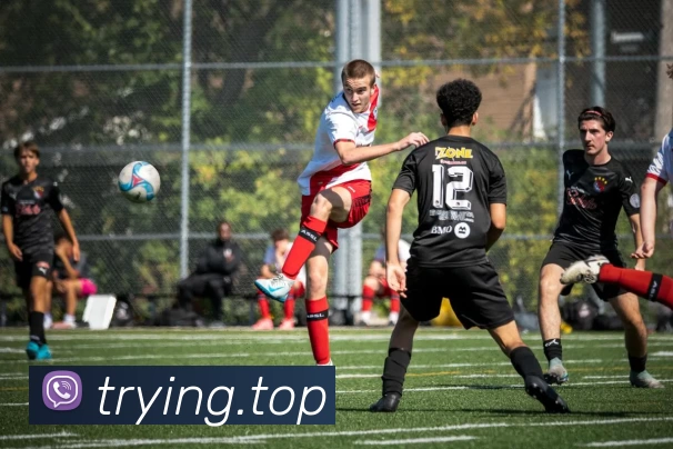 开云在线登录app官网平台生态图